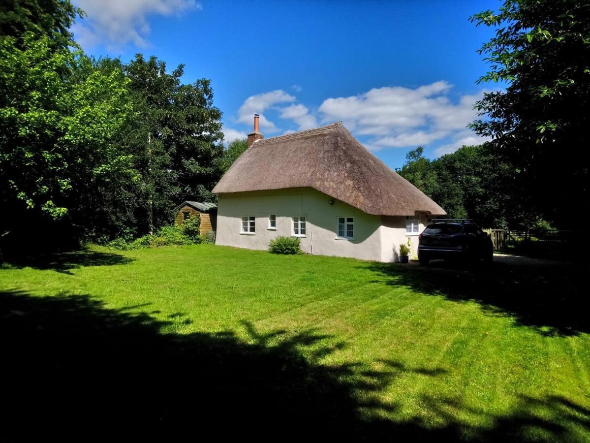 Honeysuckle Cottage ดอร์เชสเตอร์ ภายนอก รูปภาพ