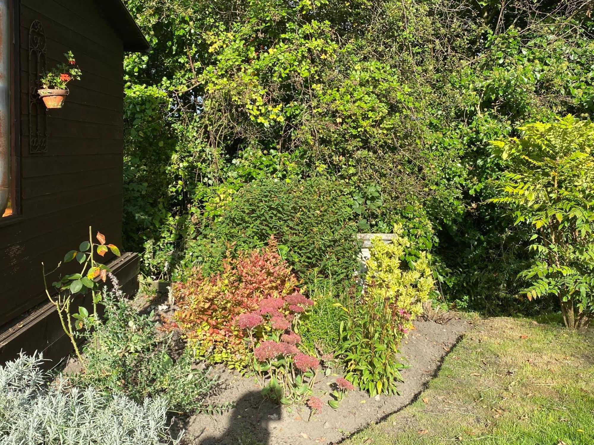 Honeysuckle Cottage ดอร์เชสเตอร์ ภายนอก รูปภาพ